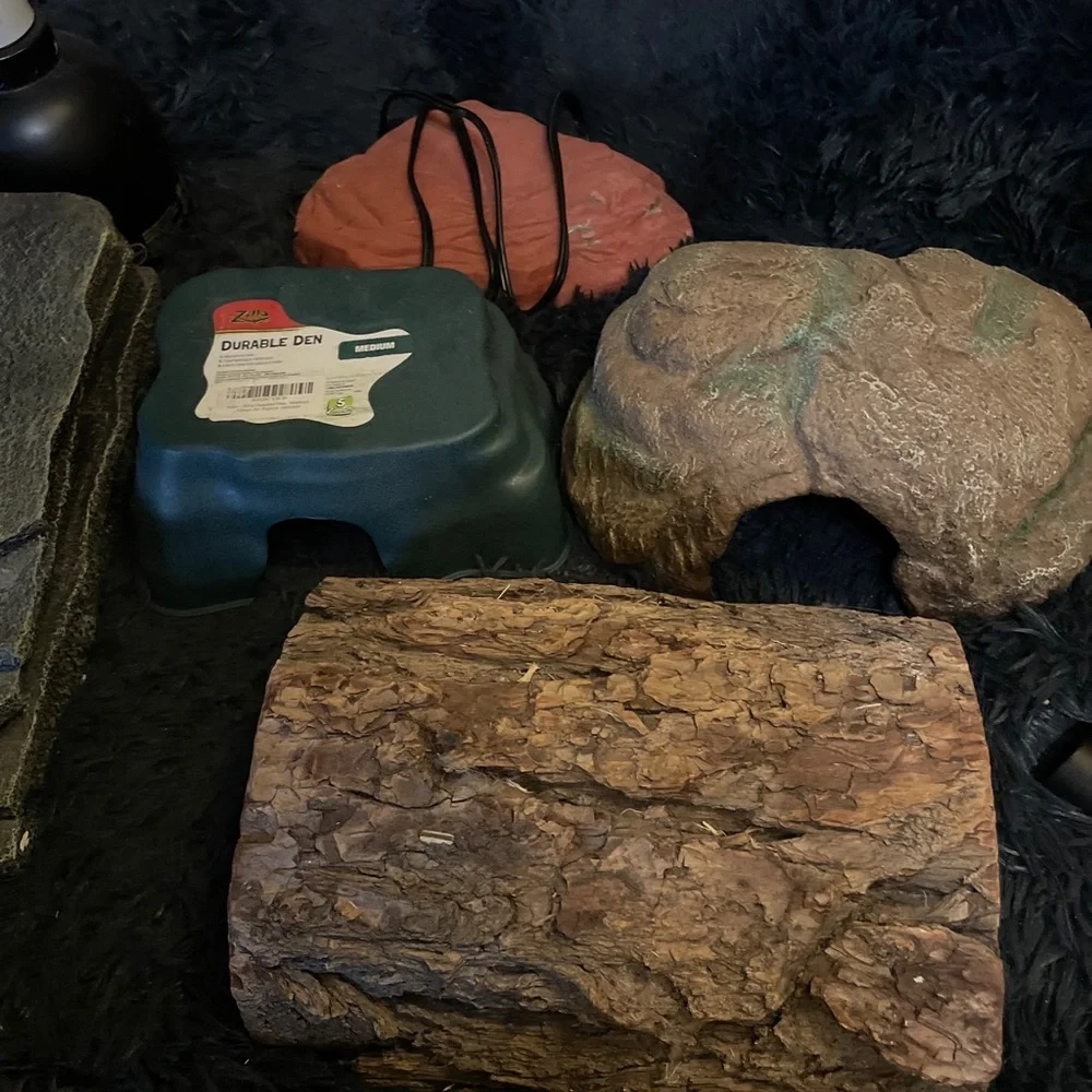 Reptile, hides ceramic hide very nice. water feeder, heat rock, heat lamp.